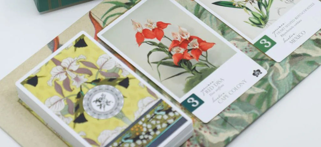 Botany Orchid Obsession Expansion APE Games Board Game Game Cards