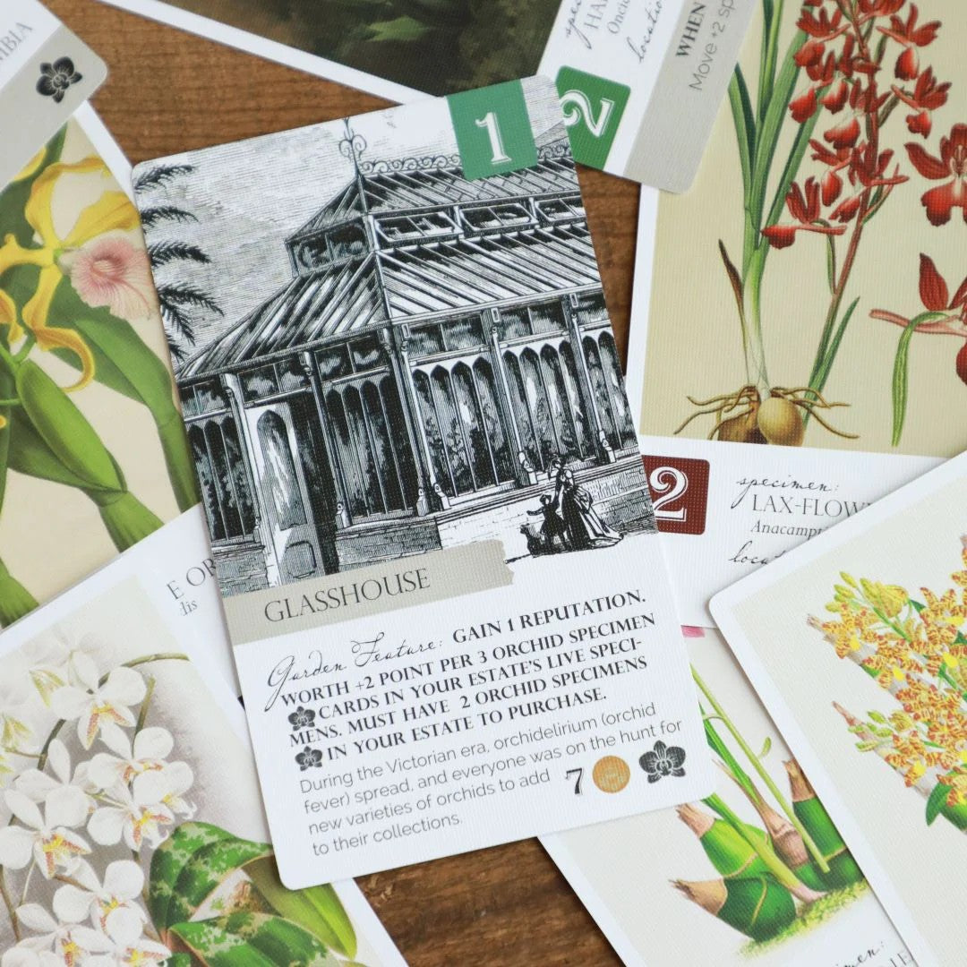 Botany Orchid Obsession Expansion APE Games Board Game Cards