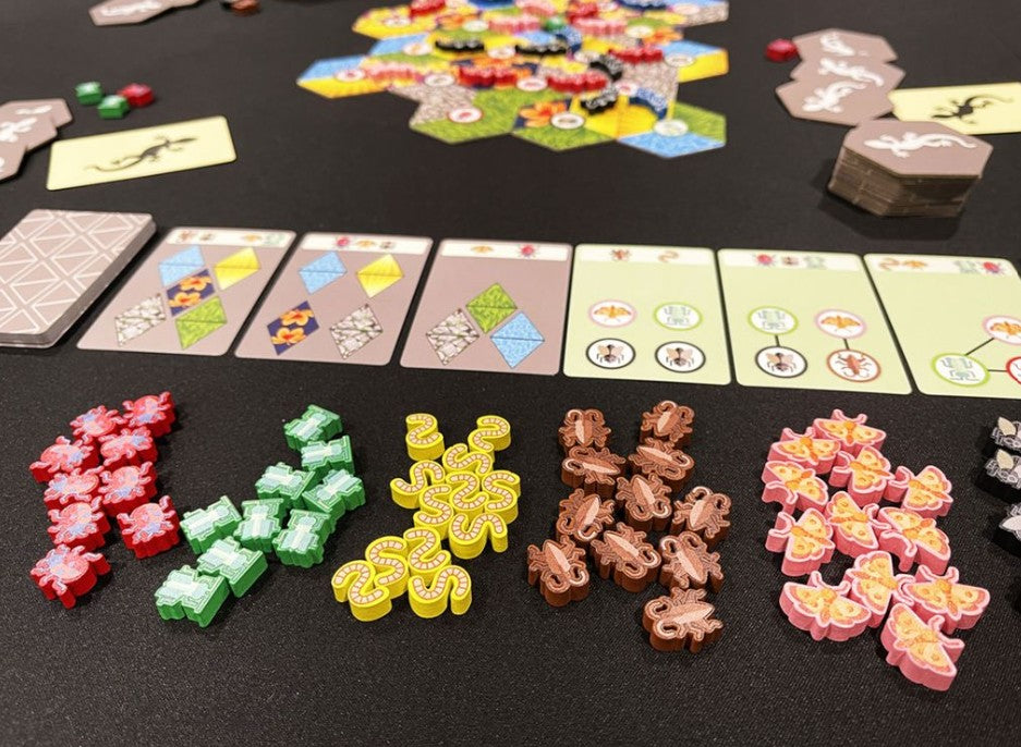 Garden Geckos (Cartoon Box)